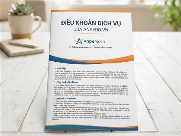 Điều Khoản Dịch Vụ